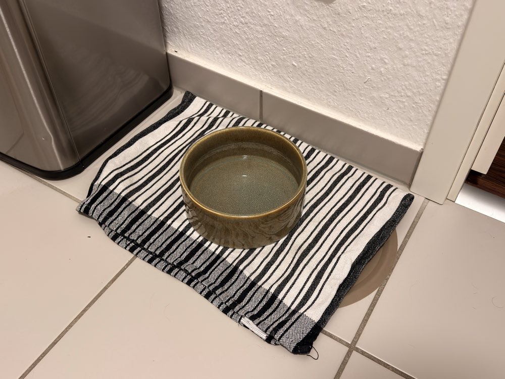 Junos Wassernapf auf einem gestreiften Tuch